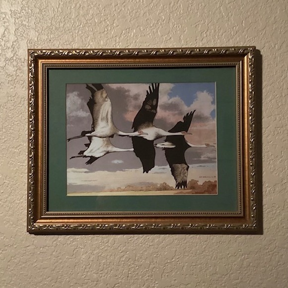 Waterfowl in Flight Framed Art Print 2008 Signed G. Kallio 12x15 - Picture 2 of 5